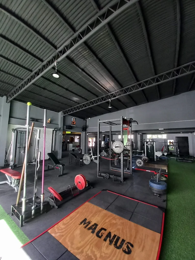 Interior de Vital, salón de musculación